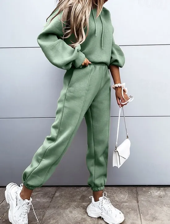 Hot Women's Active Streetwear Tracksuit Pants Sets Sweatshirt Long Sleeve Hooded Solid Color Sports Outdoor Casual Black White Green Fall & Winter Regular Fit Women Two Piece Sets