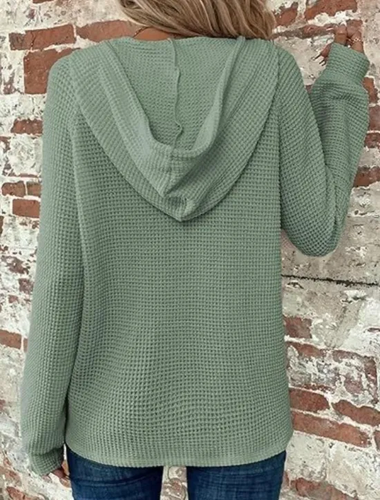 Best Women's Blouse Solid Color Stylish Casual Long Sleeve Hooded Regular Tops Daily Buttons Black Army Green Navy Blue Blue Brown Spring Fall Winter Women Hoodies & Sweatshirts