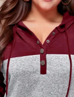 Best Women's Blouse Striped Stylish Casual Long Sleeve Hooded Regular Tops Daily Patchwork Pocket Wine Gray Spring Fall Women Hoodies & Sweatshirts