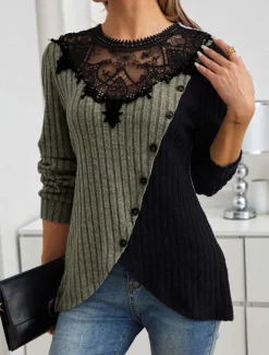Women's Elegant Lace Tops Eyelet Blouse Stylish Modern Lace Long Sleeve Regular Tops Crew Neck Work Daily Romantic Petite Tops Summer Holiday Wear Black Spring Fall Winter Women Lace Tops