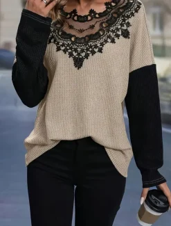 Women's Elegant Lace Tops Eyelet Blouse Fashion Modern Casual Plain Regular Tops Long Sleeve Crew Neck Regular Fit Daily Weekend Romantic Petite Tops Summer Holiday Wear Fall Winter Women Lace Tops