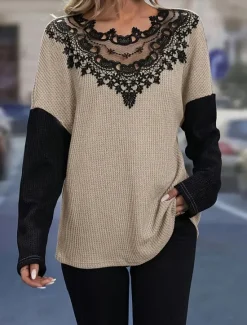 Women's Elegant Lace Tops Eyelet Blouse Fashion Modern Casual Plain Regular Tops Long Sleeve Crew Neck Regular Fit Daily Weekend Romantic Petite Tops Summer Holiday Wear Fall Winter Women Lace Tops
