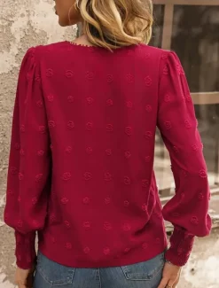Best Women's Elegant Lace Tops Eyelet Blouse Casual Solid Color Regular Tops Long Sleeve Crew Neck Lace Patchwork Regular Fit Daily Romantic Petite Tops Summer Holiday Wear Women Lace Tops
