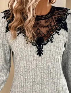 Outlet Women's Elegant Lace Tops Eyelet Blouse Stylish Solid Color Plain Regular Tops Long Sleeve Crew Neck Lace Patchwork Regular Fit Daily Romantic Petite Tops Summer Holiday Wear Spring Fall Women Lace Tops