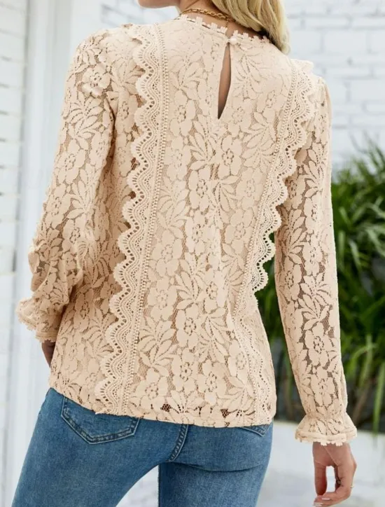 Hot Women's Elegant Lace Tops Eyelet Blouse Elegant Solid Color Lace Eyelet Lantern Sleeve Long Sleeve V Neck Daily Romantic Petite Tops Summer Holiday Wear Pink Sky Blue Green Beige Summer Women Lace Tops