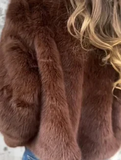 Women's Faux Fur Coat Warm Breathable Zipper Casual Plain Vacation Street Daily Wear Going out Zipper Short Stand Collar Regular Fit Long Sleeve Outerwear Red Brown Green Fall Winter Women Furs & Leathers