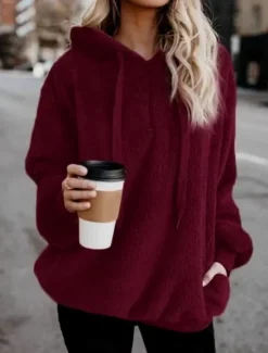 Outlet Women's Hoodie Sweatshirt Casual Sherpa Plain Street Dailywear Hoodie Zipper Pocket Long Sleeve Wine Brown Green Fall Winter Women Hoodies & Sweatshirts