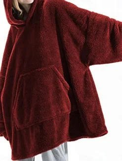 Clearance Women's Hoodie Sweatshirt Casual Sherpa Plain Street Dailywear Hoodie Long Sleeve Wine Blue Brown Fall Winter Women Hoodies & Sweatshirts