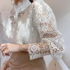 Best Women's Lace Shirt Blouse Eyelet top White Lace Shirt Solid Colored Elegant Fashion Elegant & Luxurious Shirt Collar Daily Hole Black White Apricot Spring Fall Winter Fall & Winter Women Blouses & Shirts