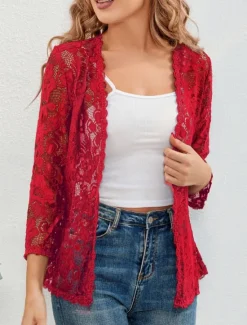Clearance Women's Lace Shirt Solid Color Elegant Stylish Basic Long Sleeve V Neck Regular Tops Daily Lace Patchwork Black White Red Gray Summer Spring Women Lace Tops