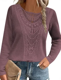 Hot Women's Lace Splicing Top Solid Color Stylish Casual Long Sleeve Crew Neck Regular Tops Daily Lace Patchwork Pink Wine Blue Fuchsia Orange Summer Spring Fall Women Lace Tops