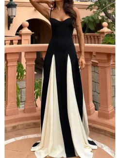 Best Women's Long Dress Maxi Dress Cocktail Dress Slip Dress Elegant Fashion Tea Party Going out Weekend Regular Fit Color Block Sleeveless Spaghetti Strap Summer Women Floral Dresses