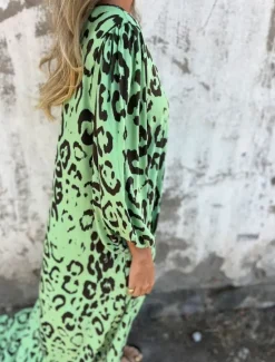 Clearance Women's Maxi Dress A Line Dress Casual Outdoor Going out Regular Fit Leopard Long Sleeve V Neck White Sky Blue Dark Green Green Summer Women Vacation Dresses|Floral Dresses
