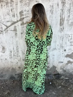 Clearance Women's Maxi Dress A Line Dress Casual Outdoor Going out Regular Fit Leopard Long Sleeve V Neck White Sky Blue Dark Green Green Summer Women Vacation Dresses|Floral Dresses