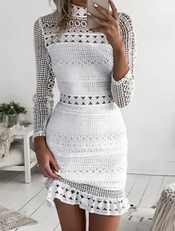 Best Women's Mini Dress Lace Dress Party Dress Homecoming Dress Sheath Dress Elegant Fashion Romantic Wedding Guest Cocktail Party Date Regular Fit Pure Color Long Sleeve High Neck Summer Spring Women White Dresses