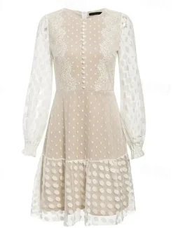 Sale Women's Mini Dress Lace Dress Casual Dress A Line Dress Summer Dress Stylish Casual Vacation Daily Date Regular Fit Plain Long Sleeve Crew Neck Summer Women White Dresses