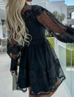 Outlet Women's Mini Dress White Dress Lace Dress Casual Dress A Line Dress Streetwear A Line Street Date Regular Fit Long Sleeve Stand Collar Black White Summer Women White Dresses