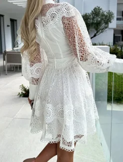 Outlet Women's Mini Dress White Dress Lace Dress Casual Dress A Line Dress Streetwear A Line Street Date Regular Fit Long Sleeve Stand Collar Black White Summer Women White Dresses