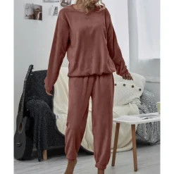 Sale Women's Pink Fleece Pajamas Nighty Pjs Sets 2 Pieces Pure Color Sport Simple Comfort Party Home Street Warm Gift Long Sleeve Hoodie Pant Elastic Waistband Winter Fall Home Outfits Women Pajama-Setter