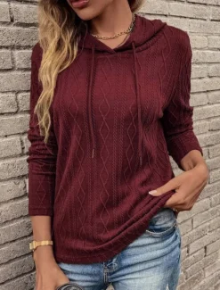 Women's Pullover Hoodie Sweatshirt Plain Casual Long Sleeve Hooded Regular Tops Street Dailywear Black Wine Brown Gray Fall Winter Women Hoodies & Sweatshirts