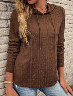 Women's Pullover Hoodie Sweatshirt Plain Casual Long Sleeve Hooded Regular Tops Street Dailywear Black Wine Brown Gray Fall Winter Women Hoodies & Sweatshirts