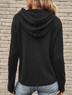 Women's Pullover Hoodie Sweatshirt Plain Casual Long Sleeve Hooded Regular Tops Street Dailywear Black Wine Brown Gray Fall Winter Women Hoodies & Sweatshirts