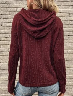 Women's Pullover Hoodie Sweatshirt Plain Casual Long Sleeve Hooded Regular Tops Street Dailywear Black Wine Brown Gray Fall Winter Women Hoodies & Sweatshirts