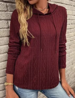 Women's Pullover Hoodie Sweatshirt Plain Casual Long Sleeve Hooded Regular Tops Street Dailywear Black Wine Brown Gray Fall Winter Women Hoodies & Sweatshirts