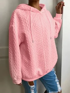 Discount Women's Pullover Hoodie Sweatshirt Plain Casual Long Sleeve Hooded Regular Tops Street Dailywear Black White Pink Red Blue Fall Winter Women Hoodies & Sweatshirts
