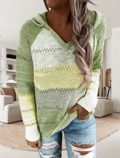 Discount Women's Pullover Sweater Jumper Casual Soft Color Block Crochet Hooded Thin Long Sleeve Tunic Knit Work Daily Holiday Black Wine Fall Winter Women Pullovers & Tops