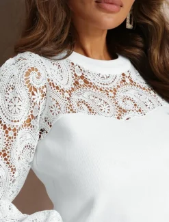 Women's Shirt Boho Shirt Blouse Solid Color Business Modern Casual Long Sleeve Crew Neck Regular Tops Work Formal Wear Lace Beige Summer Spring Women Lace Tops