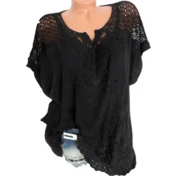Online Women's Shirt Lace Shirt Blouse Eyelet top Chiffon Streetwear Basic Casual Embroidered Short Sleeve Regular Tops V Neck Daily Going out Weekend Black White Red Blue Green Summer Spring Women Lace Tops