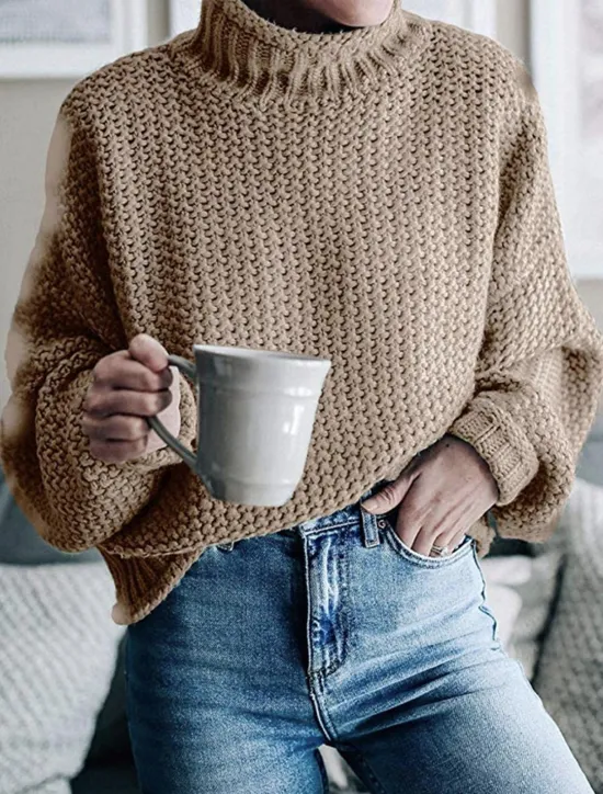 Women's Sweater Casual Soft Pure Color Ribbed Crew Neck Knitted Long Sleeve Regular Tops Knit Outdoor Daily Weekend Orange Khaki Fall Winter Women Hoodies & Sweatshirts