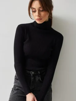 Discount Women's Sweater Casual Soft Pure Color Ribbed Turtleneck Knitted Long Sleeve Regular Tops Knit Outdoor Daily Weekend Black White Fall Winter Women Pullovers & Tops