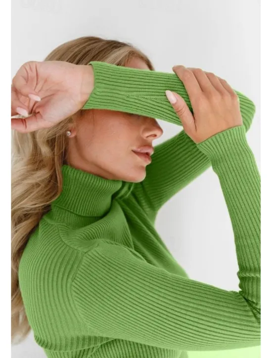 Discount Women's Sweater Casual Soft Pure Color Ribbed Turtleneck Knitted Long Sleeve Regular Tops Knit Outdoor Daily Weekend Black White Fall Winter Women Pullovers & Tops