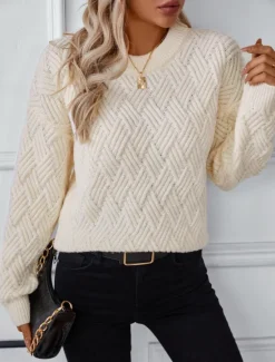 Online Women's Sweater Casual Soft Pure Color Ribbed Crew Neck Knitted Long Sleeve Regular Tops Knit Outdoor Daily Weekend Dark Gray Beige Fall Winter Women Pullovers & Tops