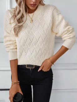 Online Women's Sweater Casual Soft Pure Color Ribbed Crew Neck Knitted Long Sleeve Regular Tops Knit Outdoor Daily Weekend Dark Gray Beige Fall Winter Women Pullovers & Tops