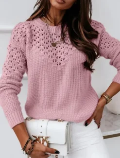 Sale Women's Sweater Casual Soft Pure Color Ribbed Crew Neck Knitted Long Sleeve Regular Tops Knit Outdoor Daily Weekend White Pink Fall Winter Women Pullovers & Tops