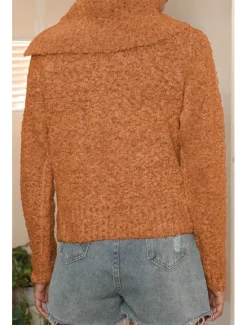 Online Women's Sweater Casual Soft Pure Color Ribbed Shirt Collar Buttons Knitted Long Sleeve Regular Tops Knit Outdoor Daily Weekend Brown Green Fall Winter Women Hoodies & Sweatshirts
