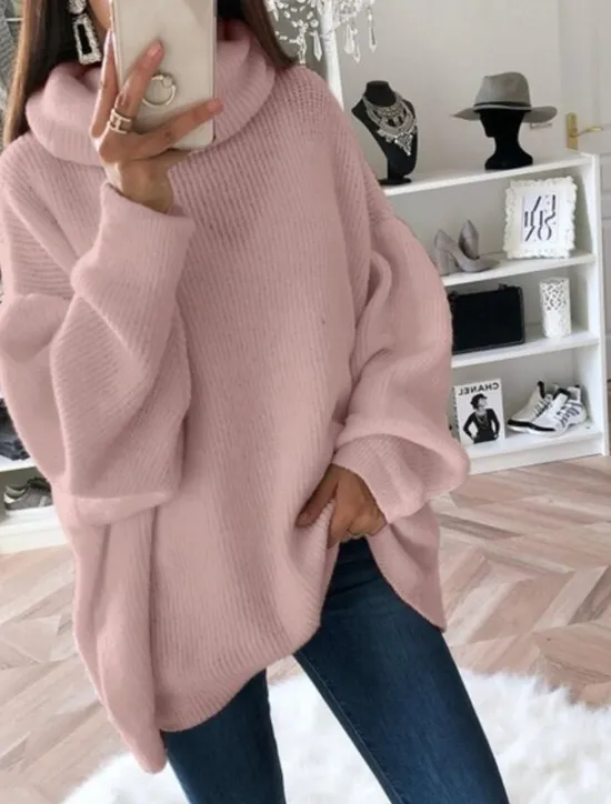 Sale Women's Sweater Streetwear Work Casual Solid Color Turtleneck Knitted Long Sleeve Long Tops Knit Home Black White Fall Winter Women Pullovers & Tops