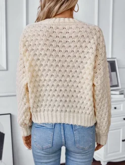 Sale Women's Sweater Stylish Solid Color Chunky Crew Neck Braided Long Sleeve Long Tops Knit Work White Beige Fall Winter Women Pullovers & Tops