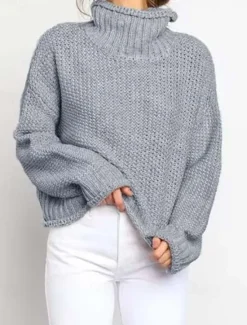 Hot Women's Sweater Turtleneck Textured Knit Textured Fall Winter Going out Elegant Fashion Daily Long Sleeve Solid Color Orange Brown Women Pullovers & Tops