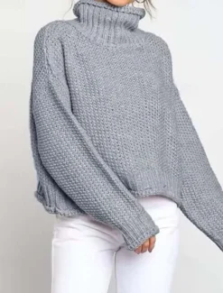 Hot Women's Sweater Turtleneck Textured Knit Textured Fall Winter Going out Elegant Fashion Daily Long Sleeve Solid Color Orange Brown Women Pullovers & Tops