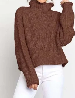 Hot Women's Sweater Turtleneck Textured Knit Textured Fall Winter Going out Elegant Fashion Daily Long Sleeve Solid Color Orange Brown Women Pullovers & Tops