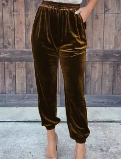 New Women's Sweatpants Joggers Velvet Pants Trousers Full Length Pocket Micro-elastic High Waist Fashion Streetwear Party Dark Brown Black S M Fall & Winter Women Pants