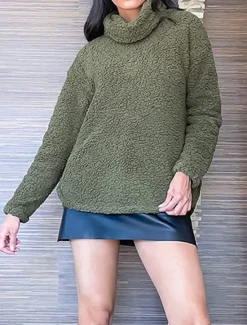 Women's Sweatshirt Casual Sherpa Plain Street Dailywear Turtleneck Print Long Sleeve Green Beige Gray Fall Winter Women Hoodies & Sweatshirts