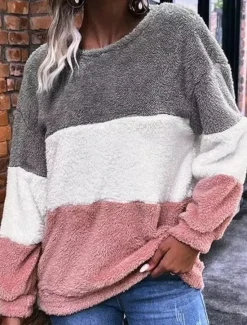 Women's Sweatshirt Casual Color Block Street Dailywear Crew Neck Patchwork Long Sleeve Fall Winter Women Hoodies & Sweatshirts