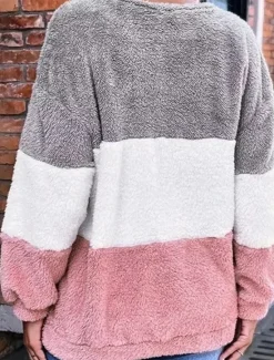 Women's Sweatshirt Casual Color Block Street Dailywear Crew Neck Patchwork Long Sleeve Fall Winter Women Hoodies & Sweatshirts