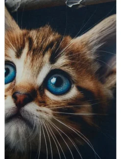 Best Women's T Shirt Fashion Cat Print Short Sleeve Regular Tops Round Neck Daily Weekend Summer 3D cat Women T-Shirts