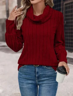 Sale Women's T Shirt Plain Fashion Modern Casual Long Sleeve Turtleneck Regular Tops Daily Weekend Wine Blue Gray Fall Winter Women Blouses & Shirts